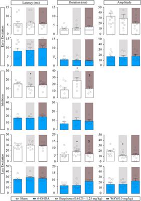 Motor cortico-nigral and cortico-entopeduncular information transmission and its modulation by buspirone in control and after dopaminergic denervation